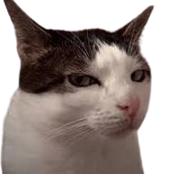 Random Cat Generator